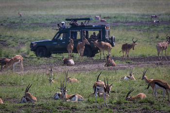 Elewana Sand River Masai Mara Hotel Maasai Mara Kültér fotó